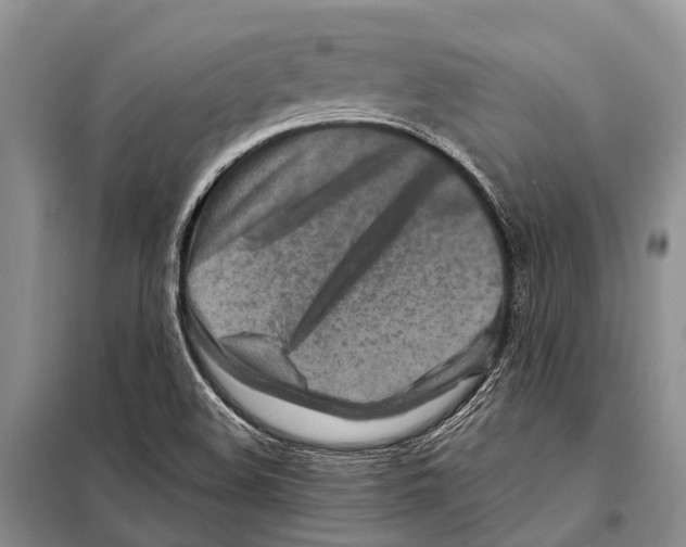 X0000097901508200804111031