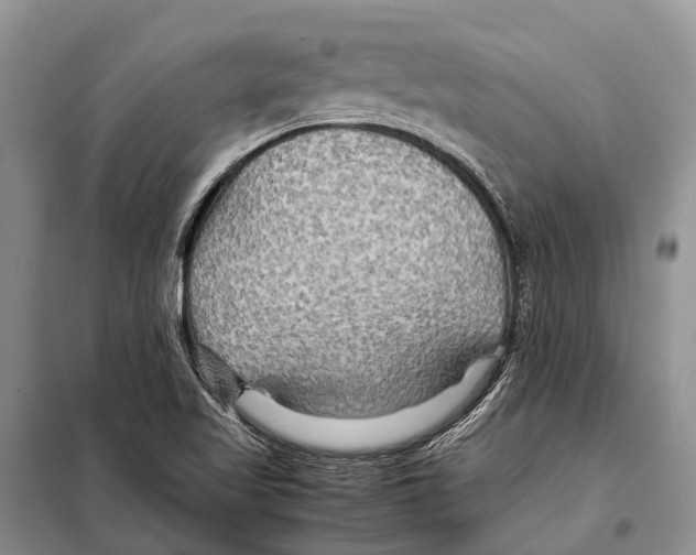 X0000097901509200804111031