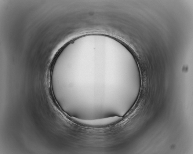 X0000097901510200804111031