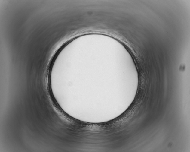 X0000097901511200804111031