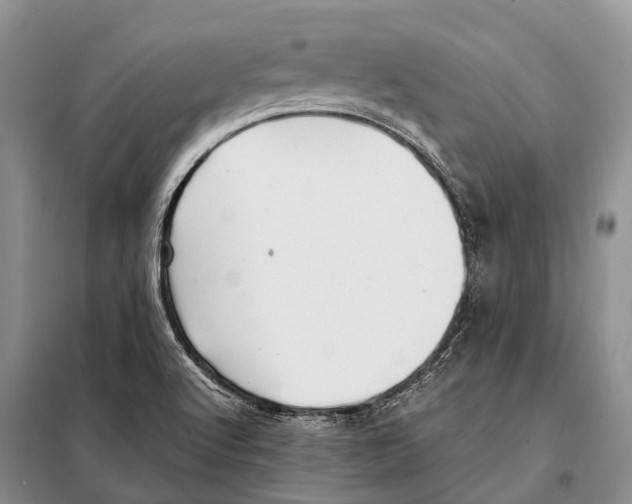 X0000097901512200804111031