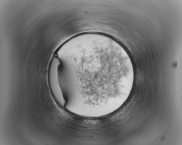 X0000097901513200804111031