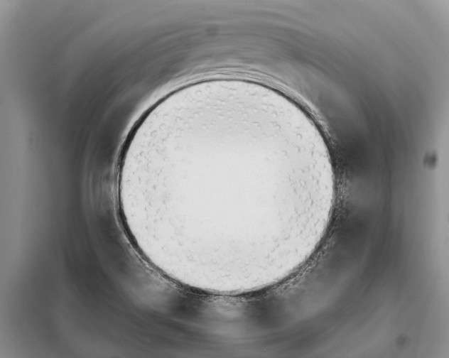 X0000097901514200804111031