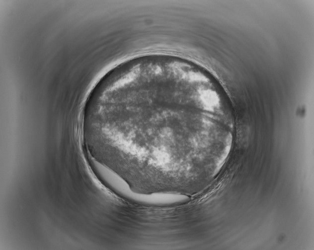 X0000097901515200804111031