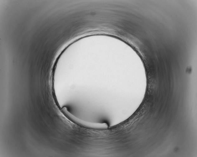 X0000097901516200804111031