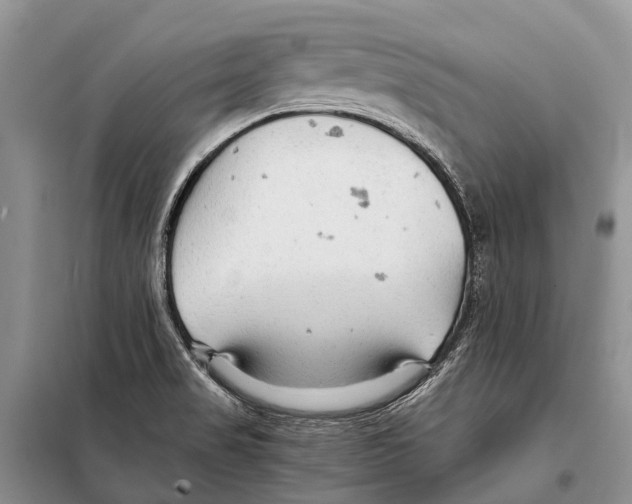 X0000097901517200804111031