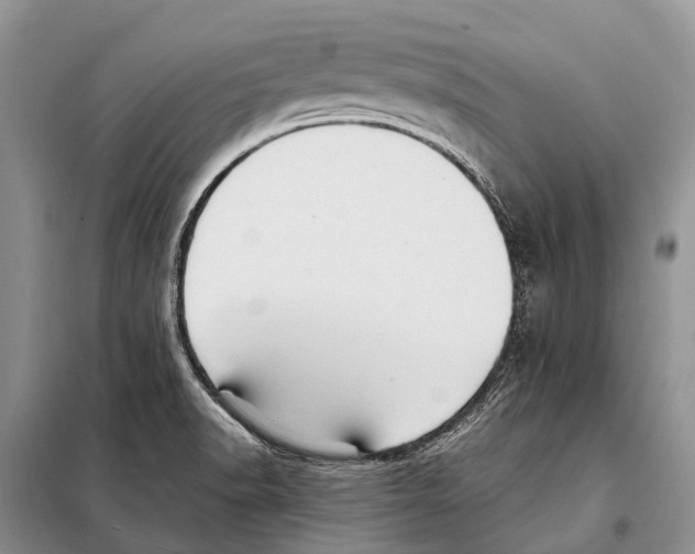 X0000097901518200804111031