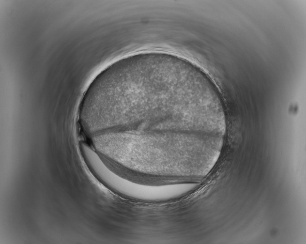 X0000097901519200804111031