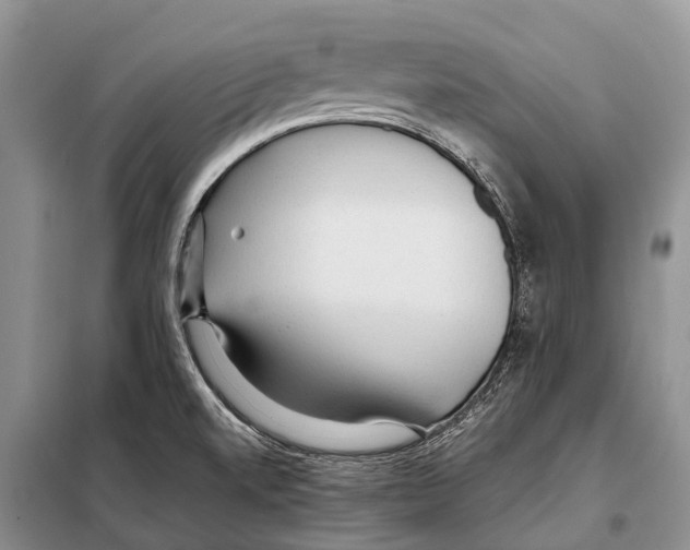 X0000097901520200804111031