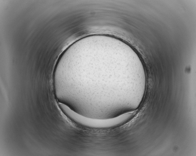 X0000097901521200804111031