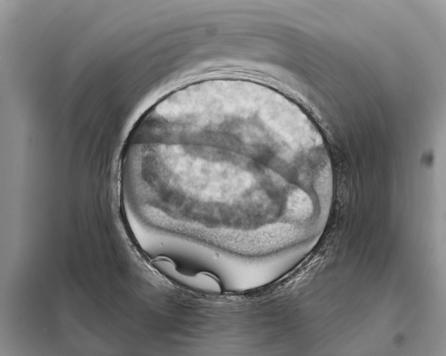 X0000097901522200804111031