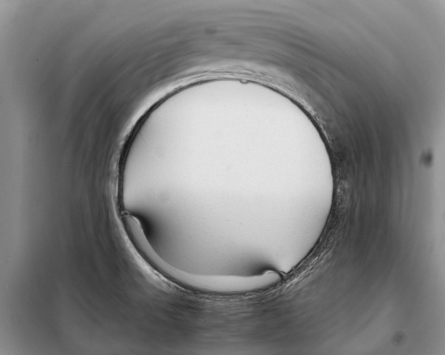 X0000097901523200804111031