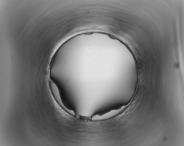 X0000097901524200804111031