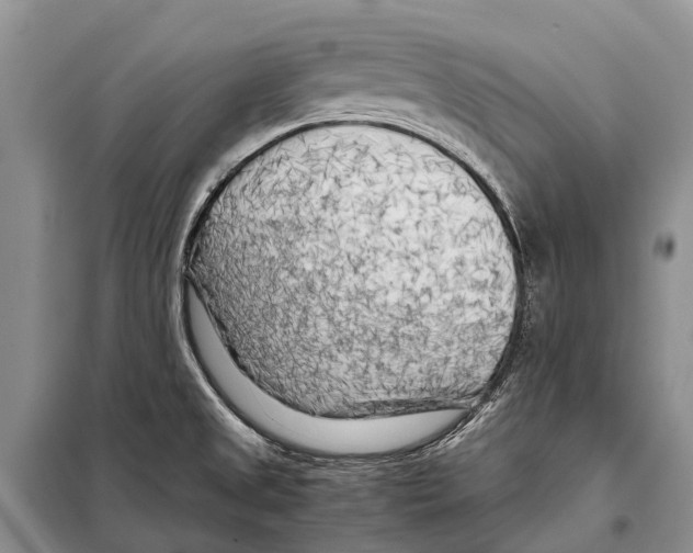X0000097901525200804111031