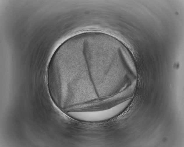 X0000097901527200804111031