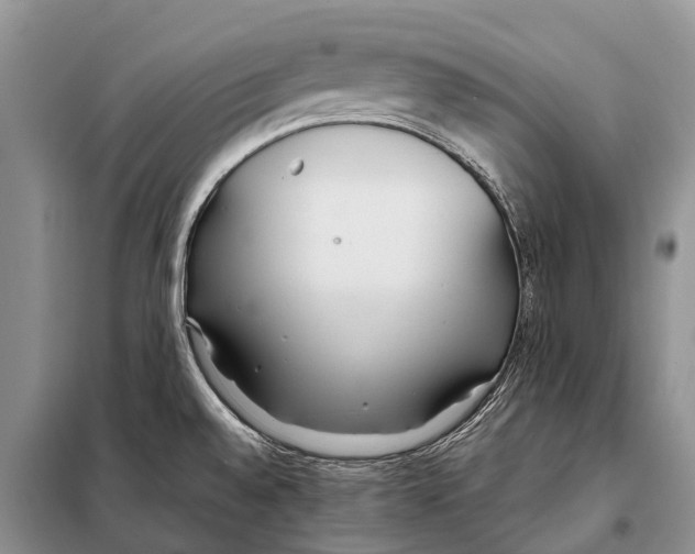 X0000097901528200804111031