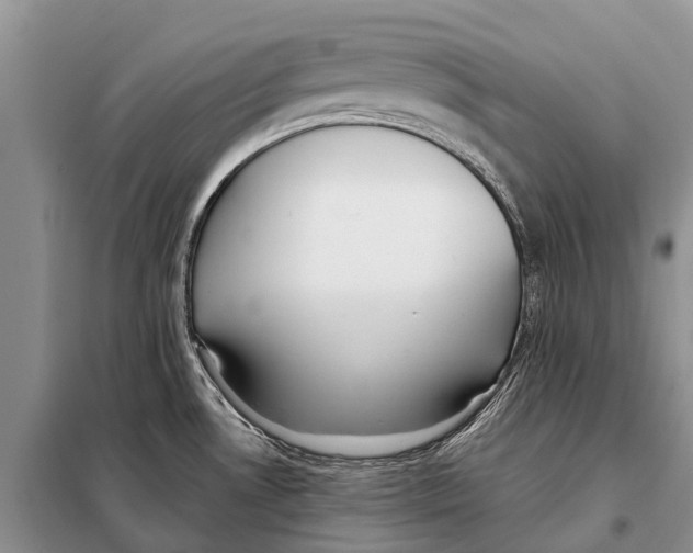 X0000097901530200804111031