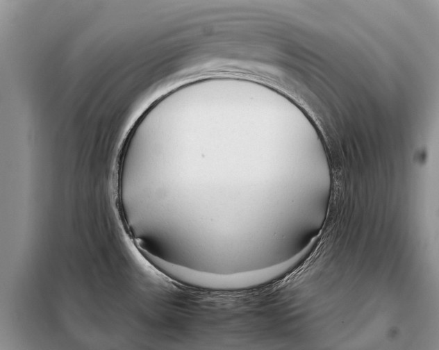 X0000097901531200804111031