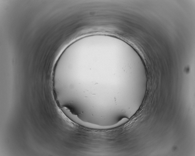 X0000097901532200804111031