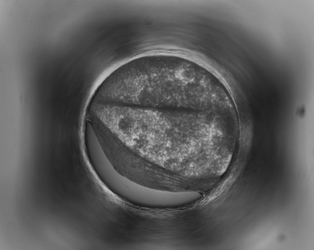 X0000097901533200804111031