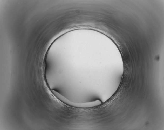 X0000097901534200804111031