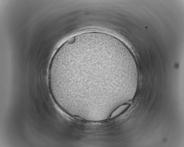 X0000097901535200804111031