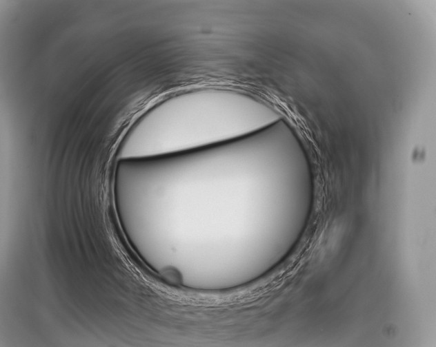 X0000097910002200803141039
