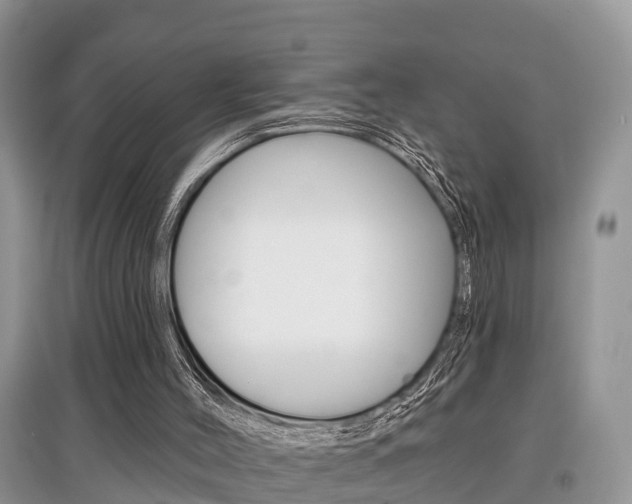 X0000097910004200803141039
