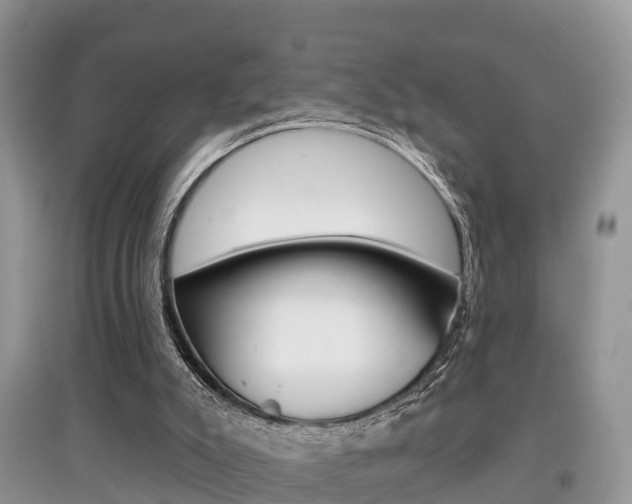 X0000097910007200803141039