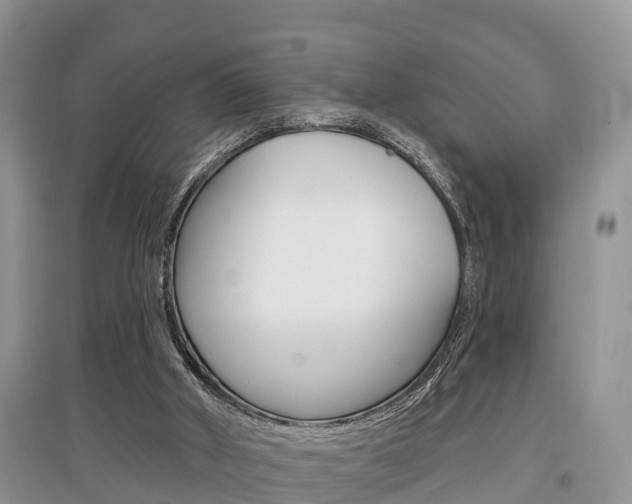 X0000097910010200803141039