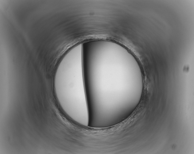 X0000097910013200803141039