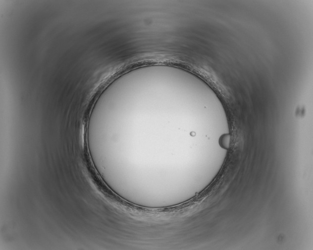 X0000097910014200803141039