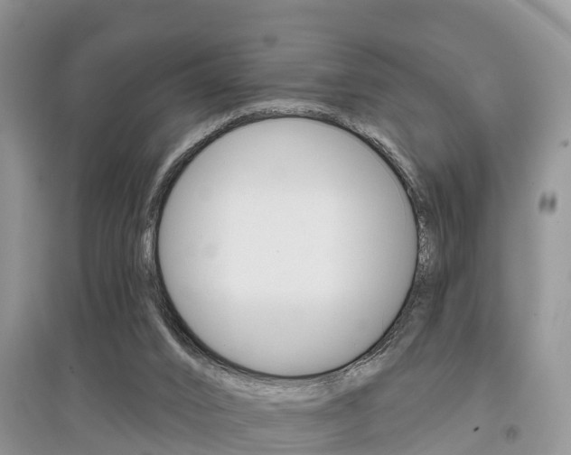X0000097910016200803141039