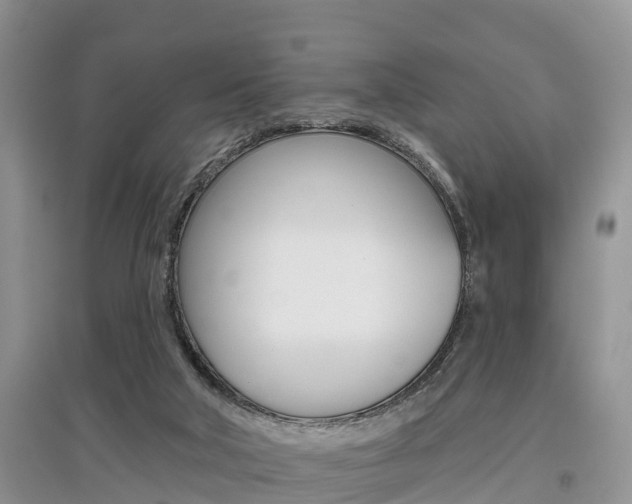 X0000097910018200803141039