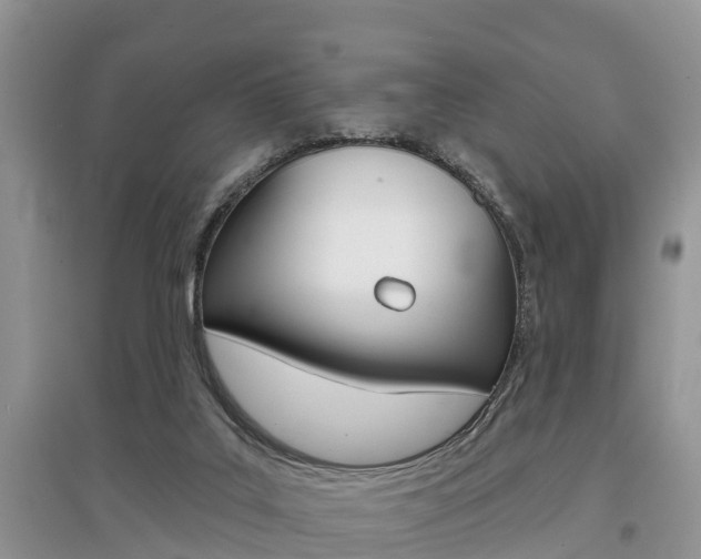 X0000097910019200803141039