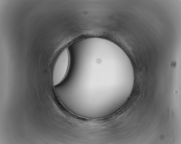 X0000097910020200803141039