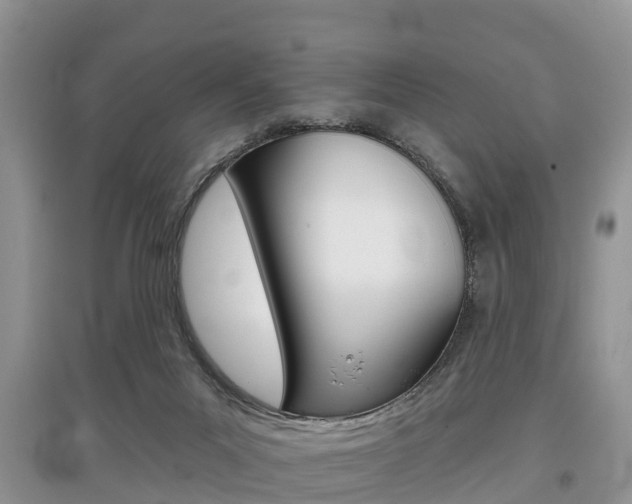 X0000097910023200803141039