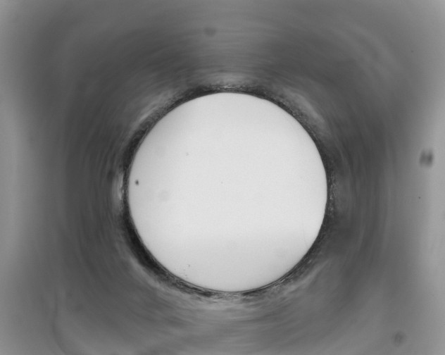 X0000097910024200803141039