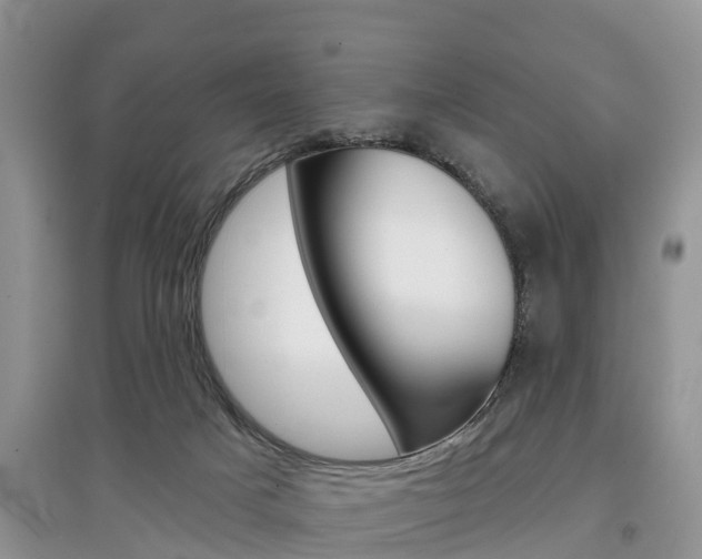X0000097910025200803141039