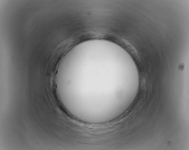 X0000097910026200803141039