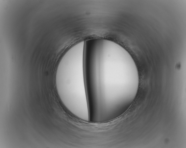 X0000097910027200803141039