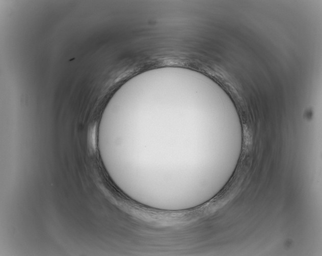X0000097910028200803141039
