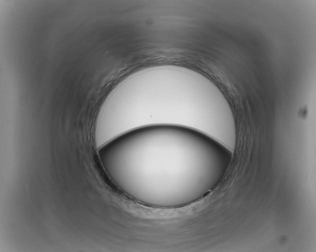 X0000097910031200803141039