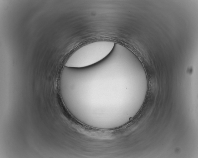 X0000097910032200803141039