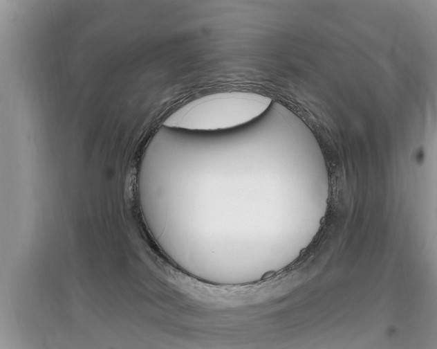 X0000097910038200803141039