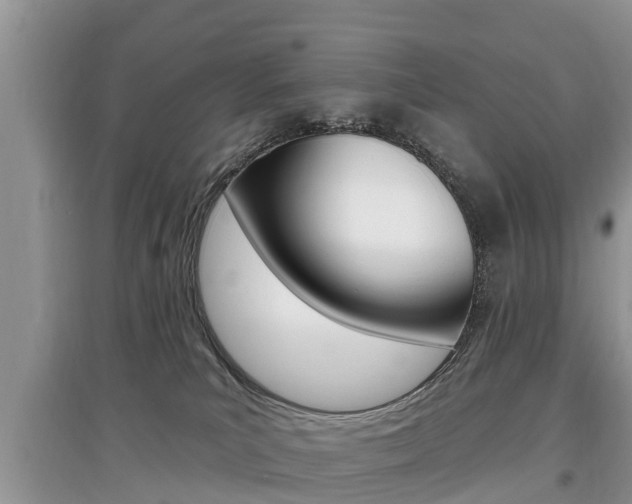 X0000097910039200803141039