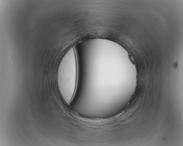 X0000097910040200803141039