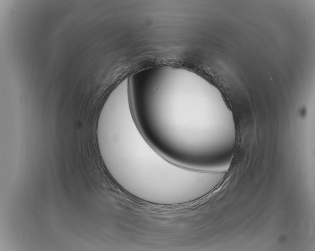 X0000097910041200803141039