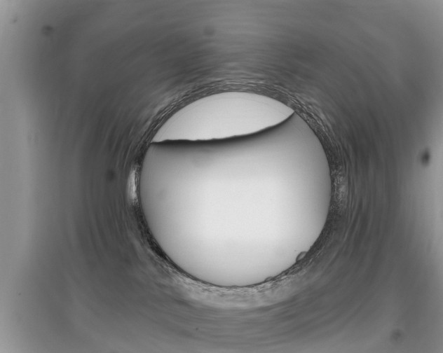 X0000097910042200803141039