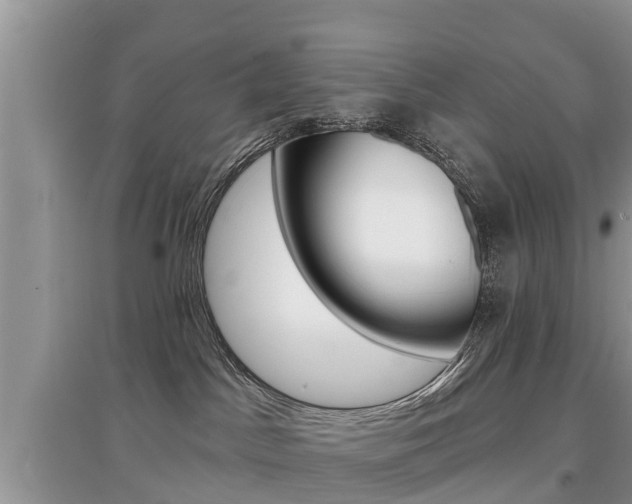 X0000097910045200803141039